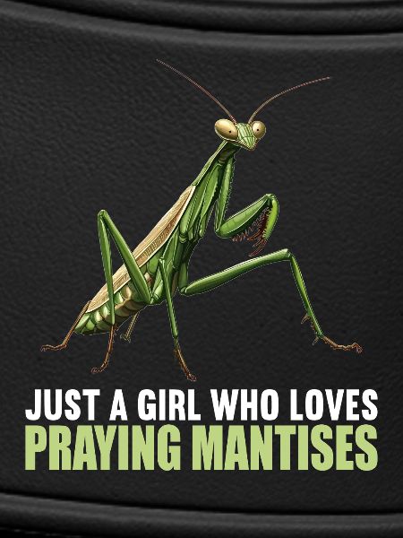Praying mantises Praying mantis