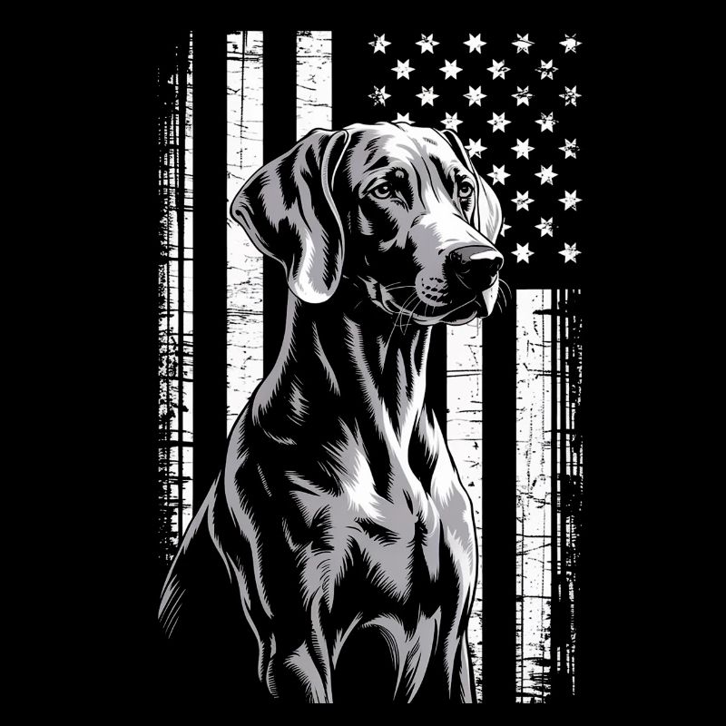 Grey Dog with Stars Stripes
