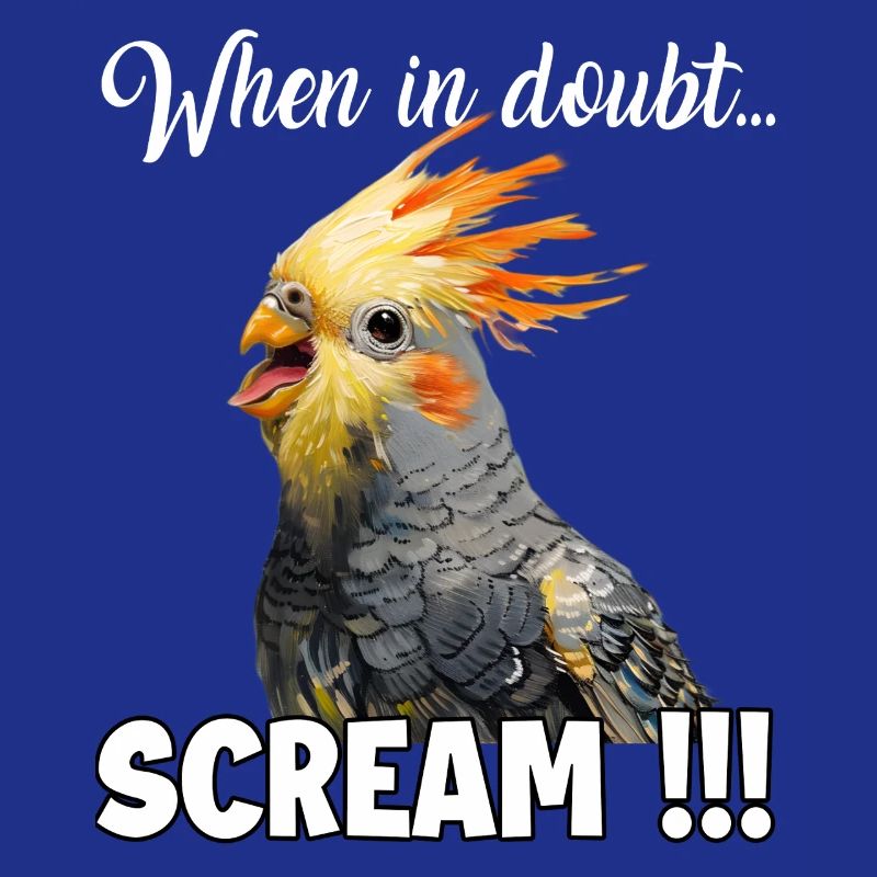 Dons créatifs : Porte-cacatoès et calopsitte