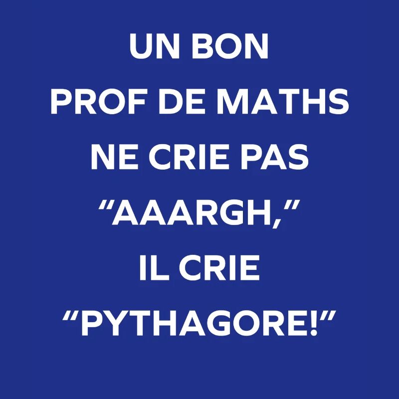 Prof de maths crie Pythagore