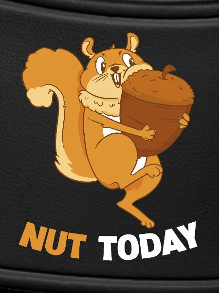 NUT TODAY Eichhörnchen Eichel