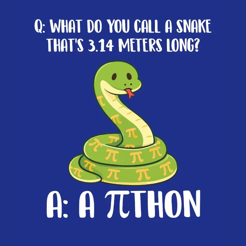 Snake 3.14 Meters Long Pi Day Python Joke