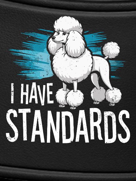 I Have Standards