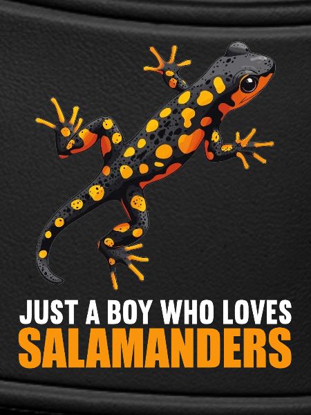 Fire Salamander Salamander
