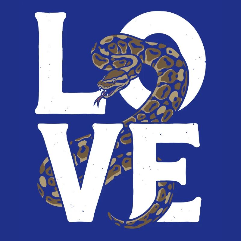 Königspython Schlangen LOVE Terrarium Python