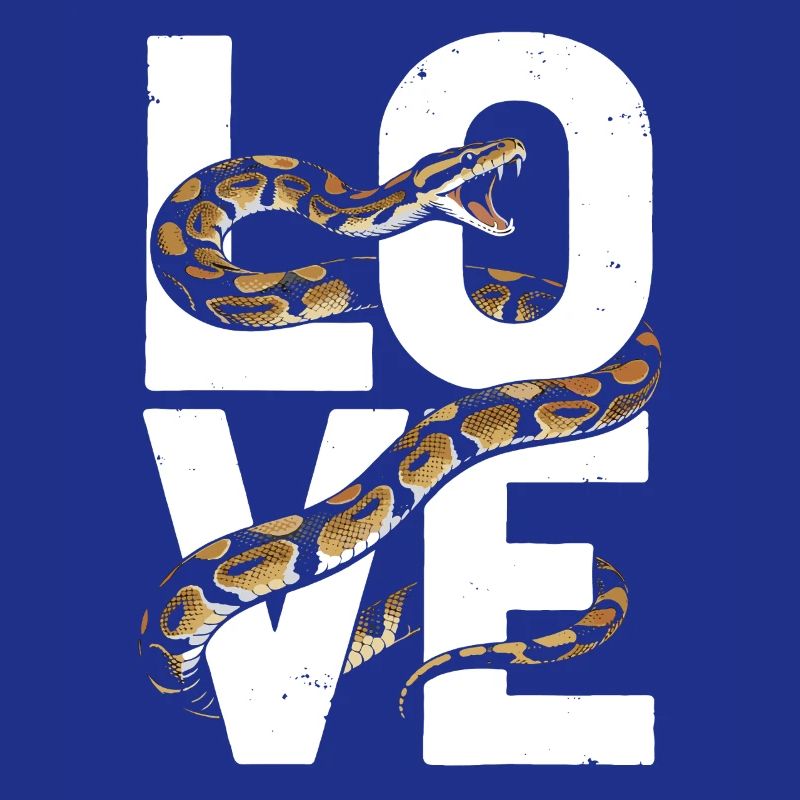 King Python Snakes LOVE Terrarium Python