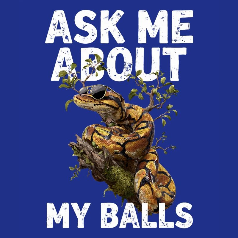 Königspython Schlangen Liebhaber Terrarium Python