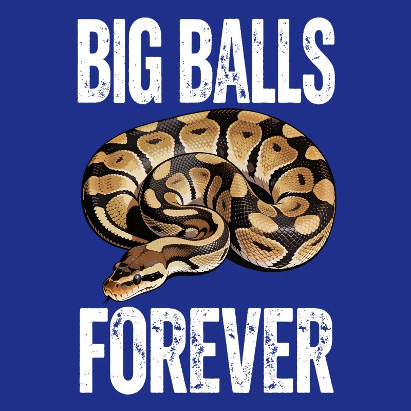 King Python Snakes Lover Terrarium Python