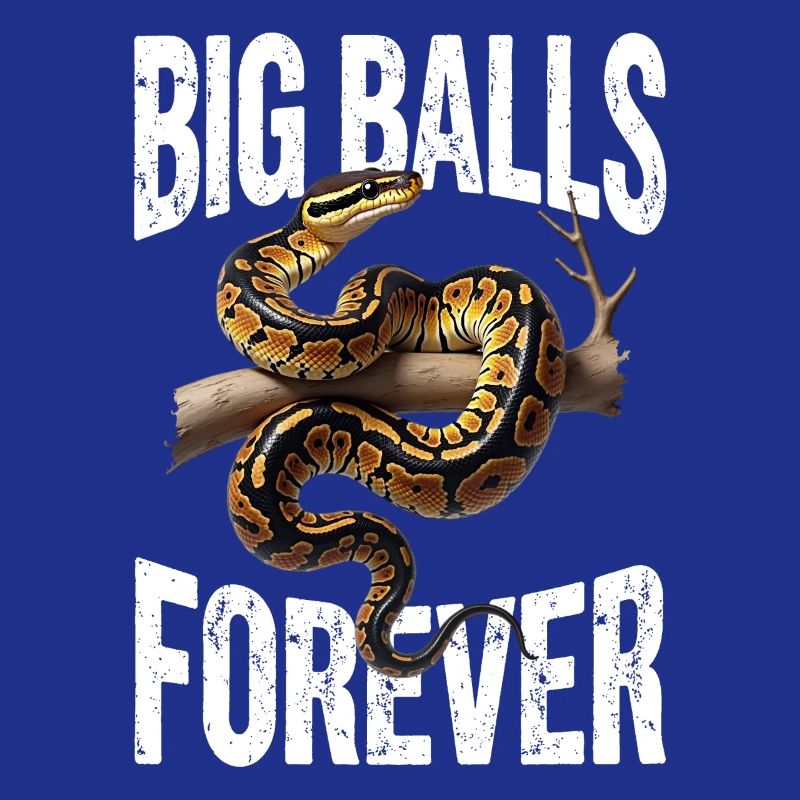 Königspython Schlangen Liebhaber Terrarium Python