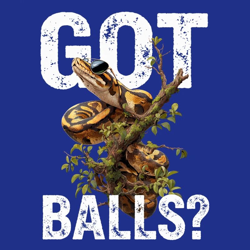 Königspython Schlangen Liebhaber Terrarium Python