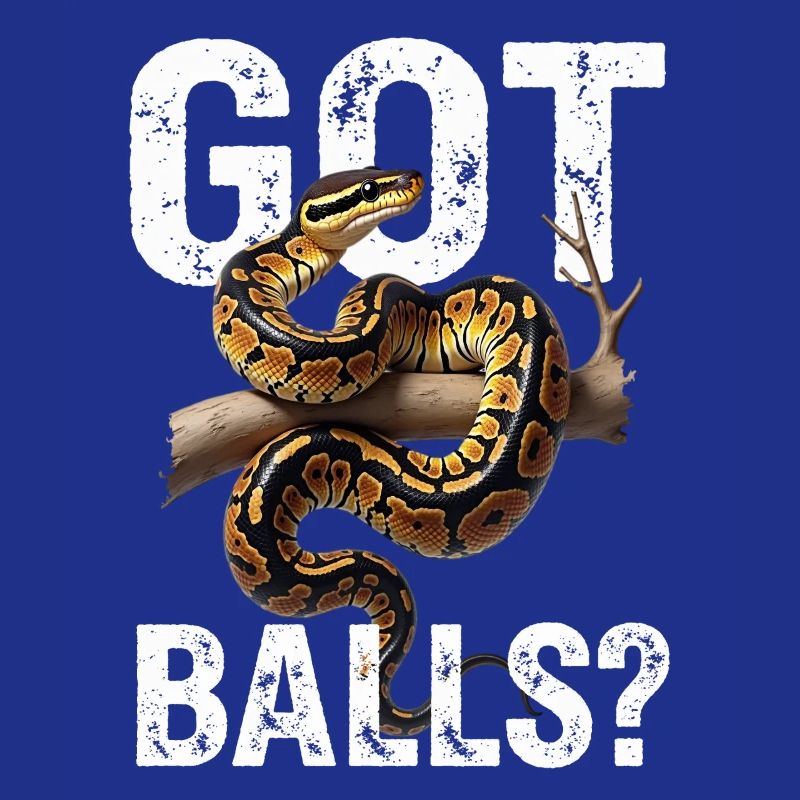 Python roi Serpents Amateurs de terrarium Python