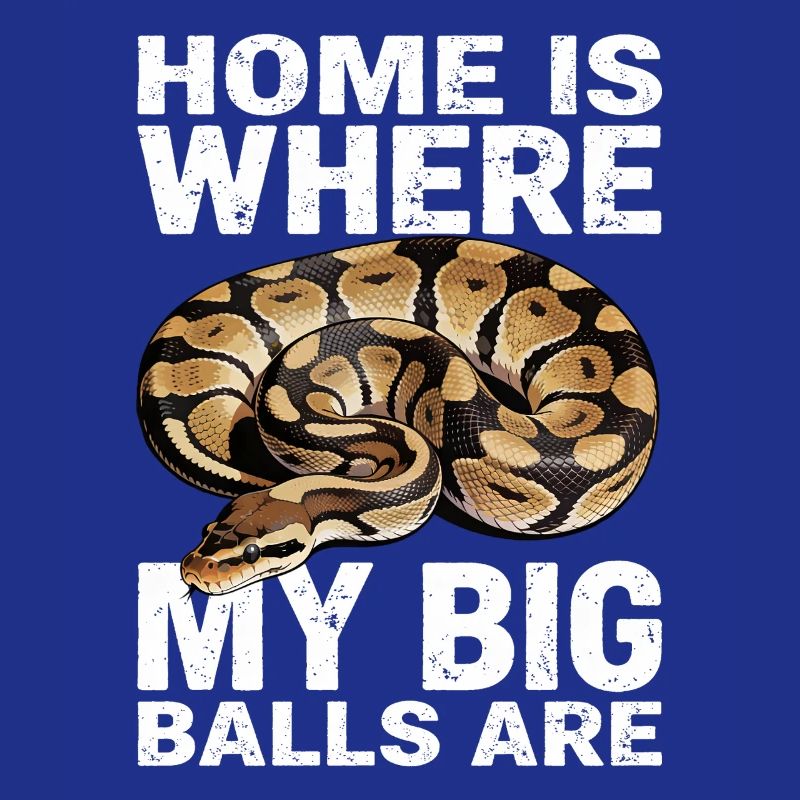 Python roi Serpents Amateurs de terrarium Python