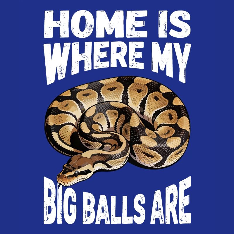 Python roi Serpents Amateurs de terrarium Python