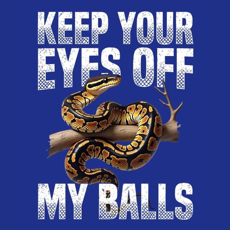 Python roi Serpents Amateurs de terrarium Python