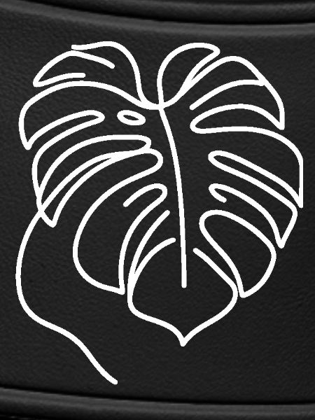 Monstera Line Art White