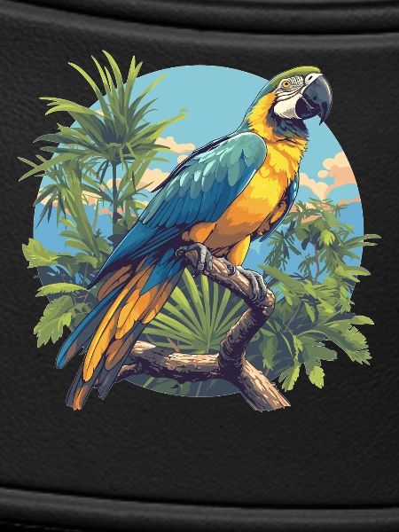 Macaw's Era