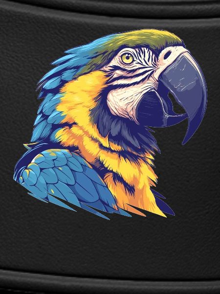 Macaw's Era