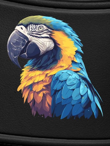 Macaw's Era