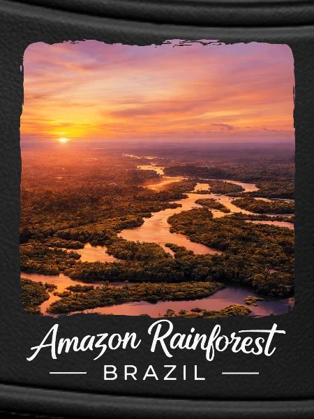 Rainforest Sunset Brazil