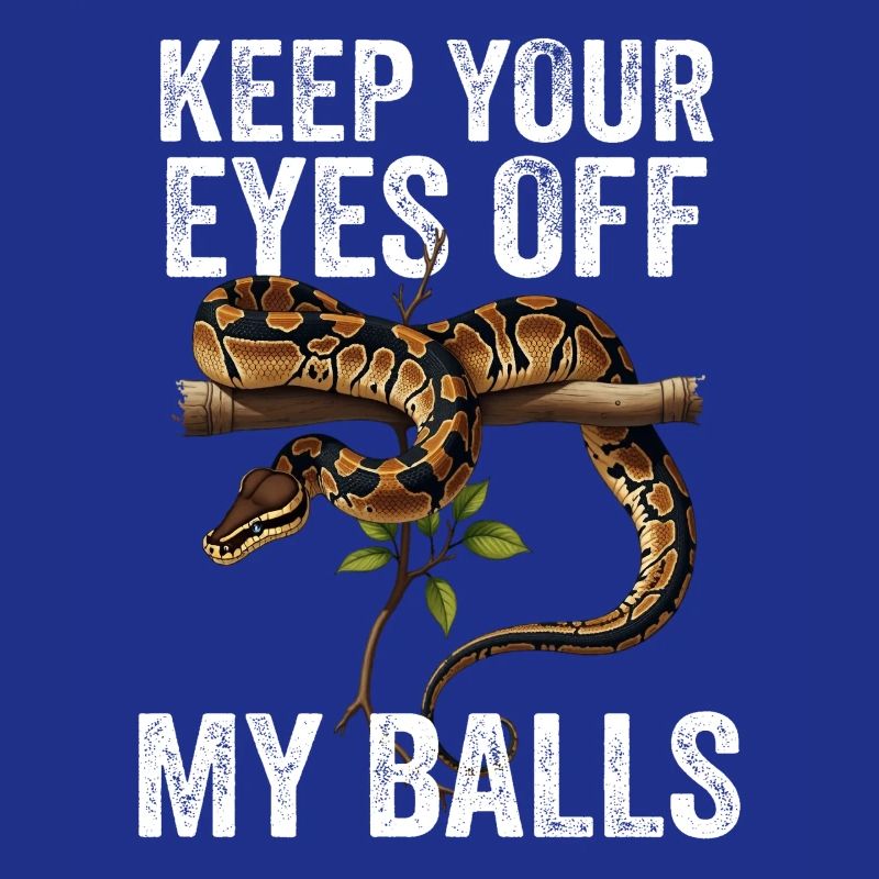 Python roi Serpents Amateurs de terrarium Python