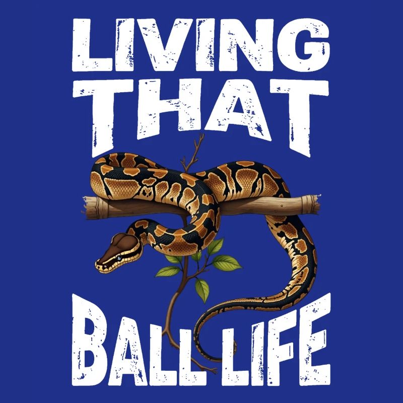 Python roi Serpents Amateurs de terrarium Python