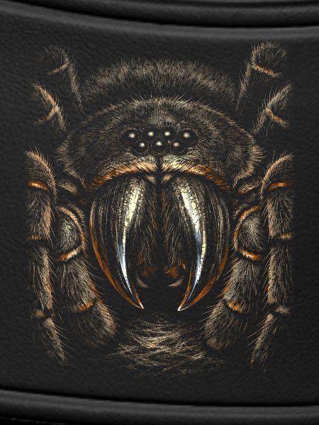 Tarantula