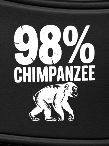 98 % de chimpanzés