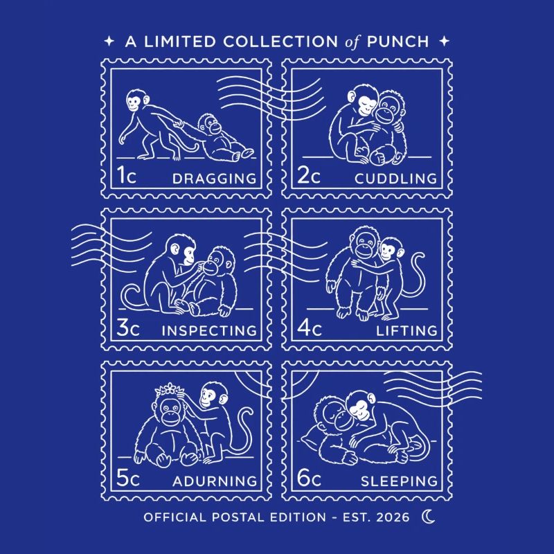 Tampons Bébé Singe Punch