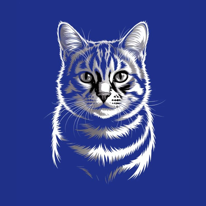 Chat