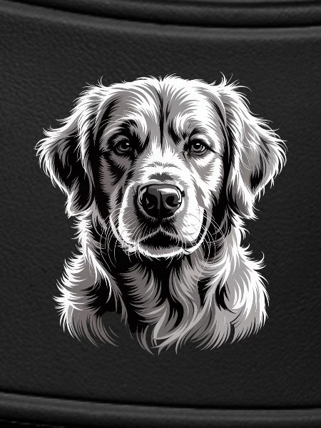 Labrador