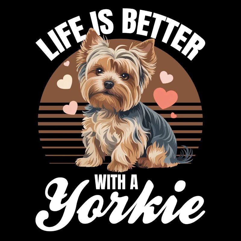Yorkshire Terrier Yorkshire Race de chien Yorkshire