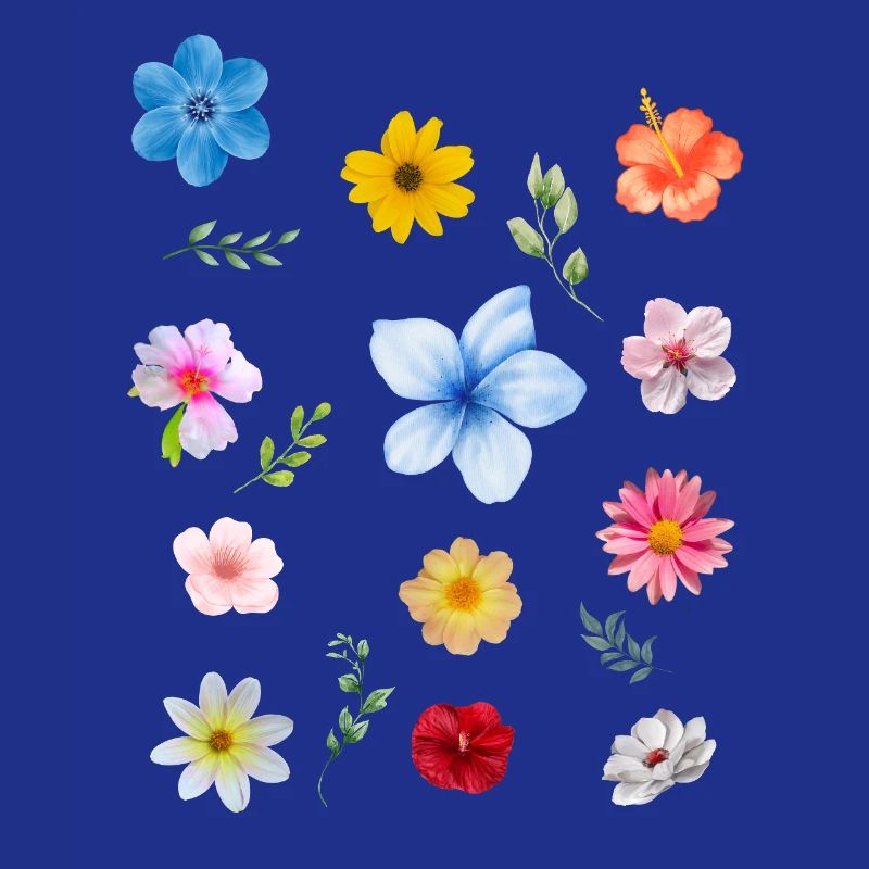 Le printemps arrive