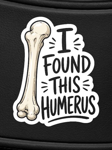 Humerus Discovery Sticker