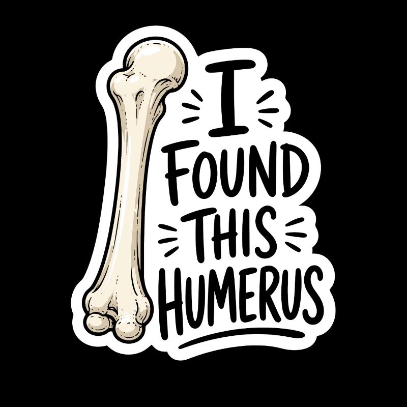 Humerus Discovery Sticker