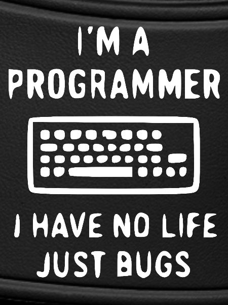 Programmierer Spruch – Bugs statt Leben