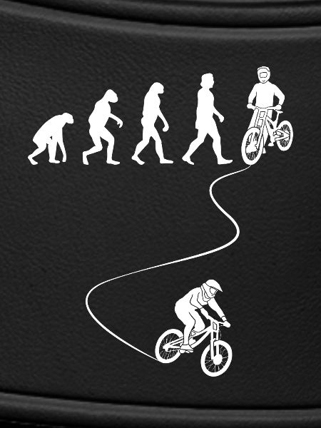 Bicycle Evolution