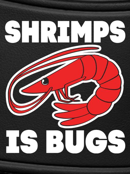 Shrimp