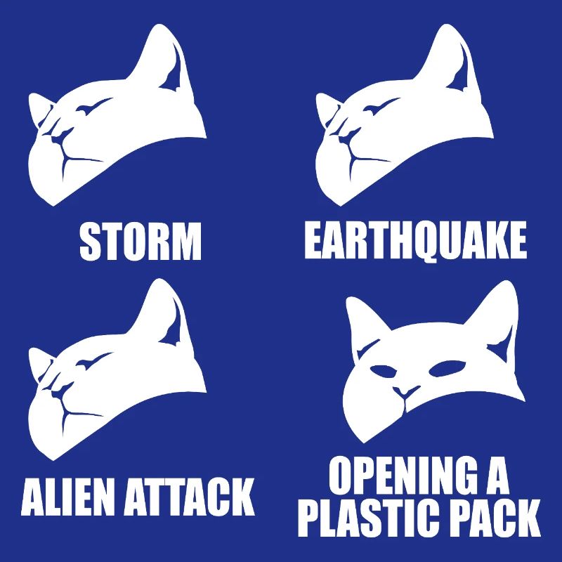 Chat - perception sélective - dire