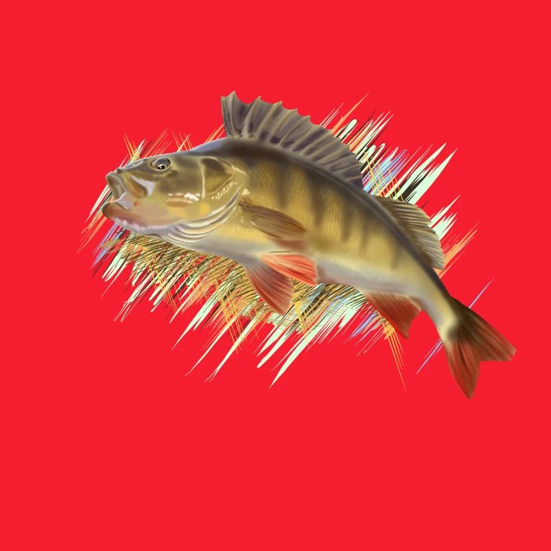 Perch