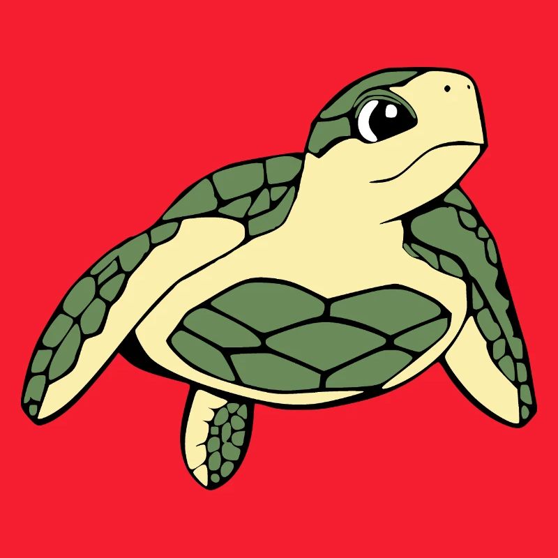 Turtle Turtles