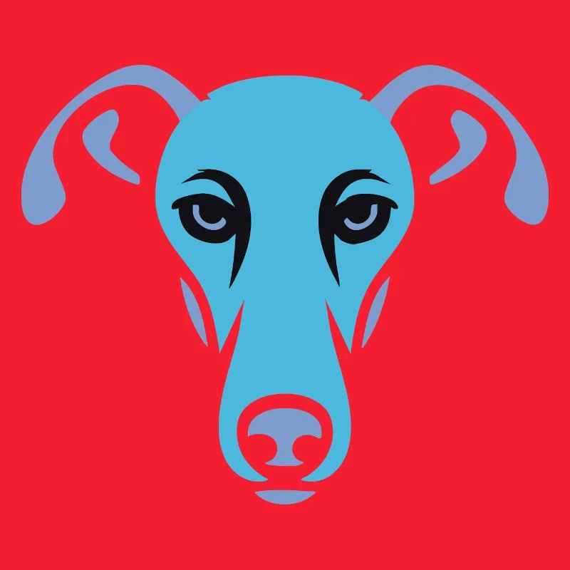 Greyhound, Galgo
