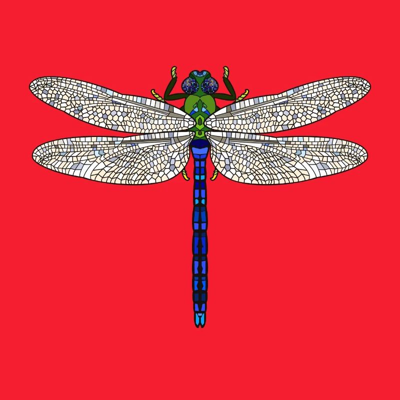 King dragonfly