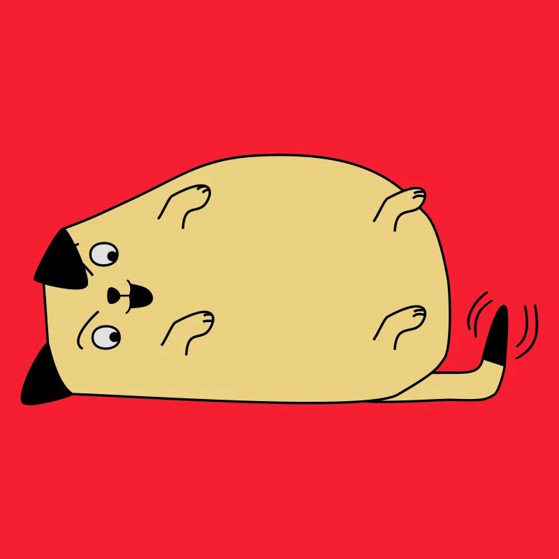 Chien regarde sa queue