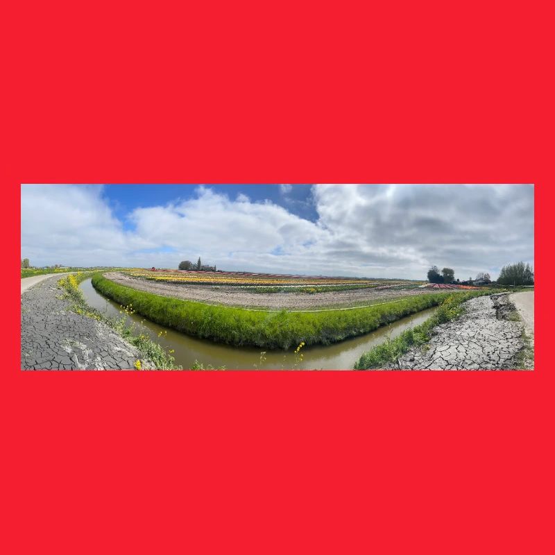 Panoramic field with ditch and flowers