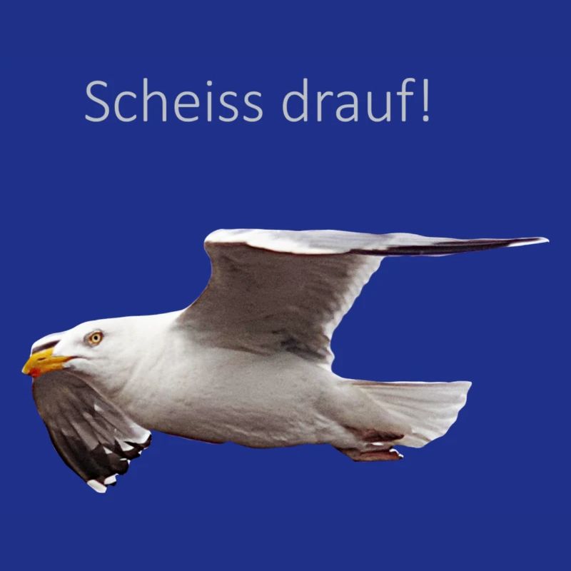 Möwe im Flug Spruch