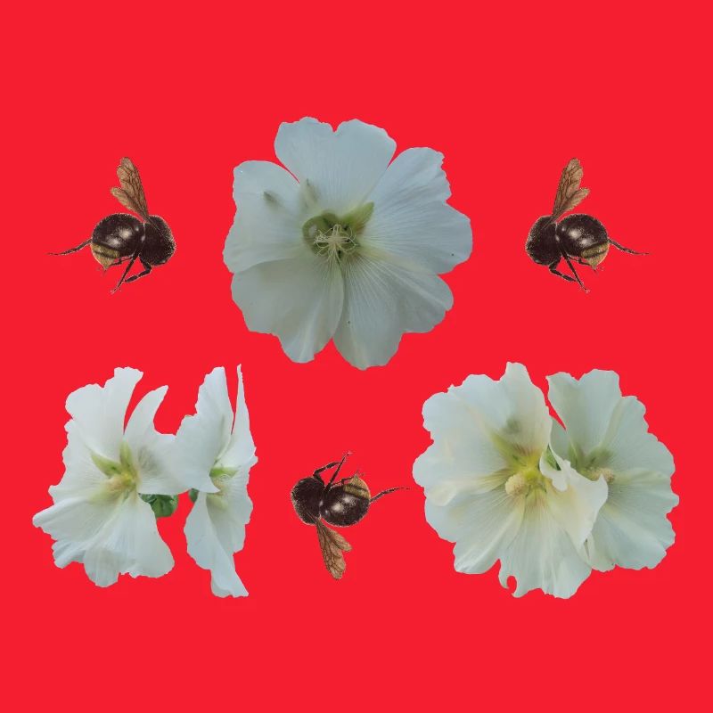 Hollyhocks with bumblebees