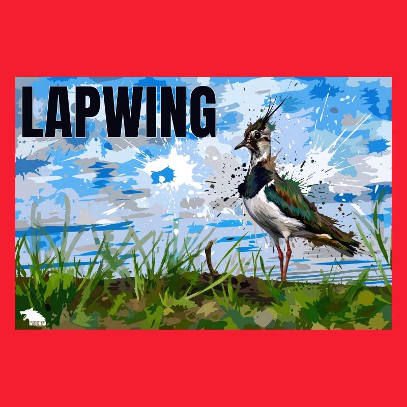 LAPWING