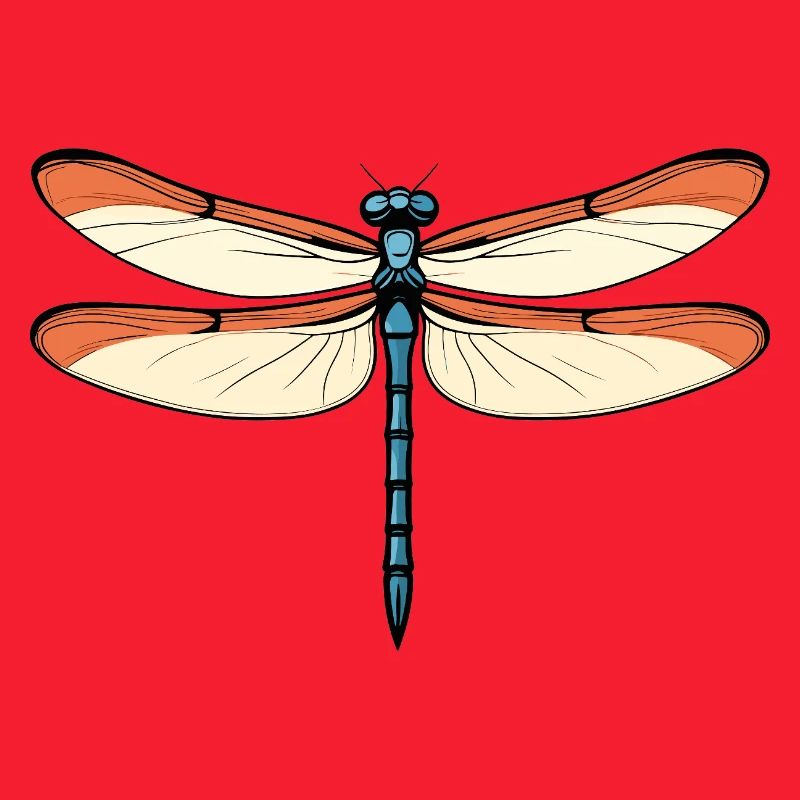Blue-orange dragon dragonfly