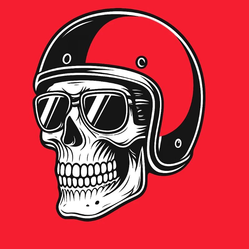 Skeleton biker with helmet image