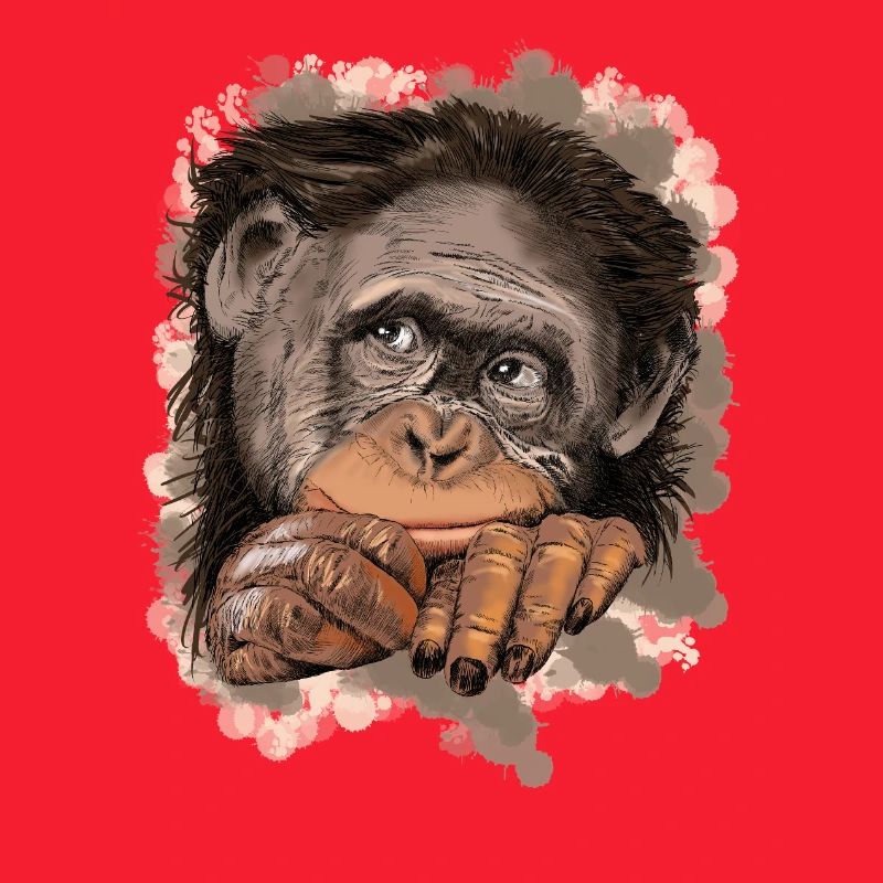 Monkey